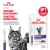 Паучи Royal Canin Neutered Maintenance для взрослых стерилизованных кошек Паучи Royal Canin Neutered Maintenance для взрослых стерилизованных кошек