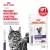 Паучи Royal Canin Neutered Maintenance для взрослых стерилизованных кошек Паучи Royal Canin Neutered Maintenance для взрослых стерилизованных кошек