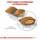 Сухой Корм Royal Canin Mini Exigent для взрослых собак малых пород привередливых в...