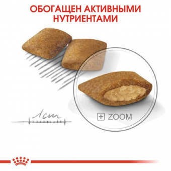 Корм Royal Canin Mini Exigent для взрослых собак малых пород привередливых в питании