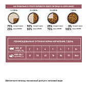 Сухой Корм Award Special Care Sensitive Skin&Coat для взрослых кошек для здоровой кожи и шерсти со свежей белой рыбой