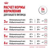 Корм консервированный Royal Canin Sterilised для взрослых кошек в желе Корм консервированный Royal Canin Sterilised для взрослых кошек в желе