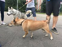 Дегустация в зоомагазине «Динозаврик» (Ул.Снежная, д.16к6)!