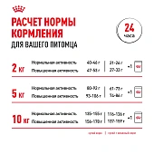 Сухой Корм для собак Royal Canin Mini Adult Корм сухой для взрослых собак мелких размеров от 10 месяцев Сухой Корм для собак Royal Canin Mini Adult Корм сухой для взрослых собак мелких размеров от 10 месяцев