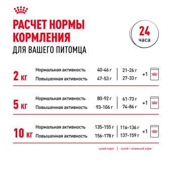 Корм для собак Royal Canin Mini Adult Корм сухой для взрослых собак мелких размеров от 10 месяцев