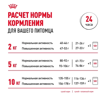 Корм для собак Royal Canin Mini Adult Корм сухой для взрослых собак мелких размеров от 10 месяцев