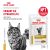Паучи Royal Canin Urinary S/O для кошек при мочекаменной болезни Паучи Royal Canin Urinary S/O для кошек при мочекаменной болезни