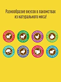 Деревенские Лакомства для собак всех пород нежные медальоны из курицы и утки