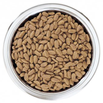 Корм Pro Plan Optiderma для собак мелких и карликовых пород с лососем и паучи в подарок ПРОМОПАК