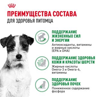 Паучи Royal Canin Mini Ageing 12+ для собак маленьких пород собак в возрасте сраше 12 лет