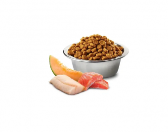 Корм Farmina N&D Adult Ocean Grain Free Mini беззерновой для взрослых собак мелких пород с лососем, треской и дыней