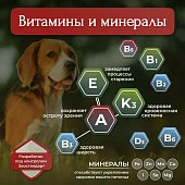 Банки BioMenu adult для собак с говядиной и ягненком Банки BioMenu adult для собак с говядиной и ягненком