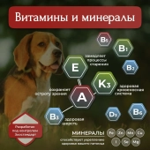 Банки BioMenu adult для собак с говядиной и ягненком
