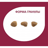 Сухой Корм Granplus Cat Sterilised для стерилизованных кошек с лососем и цыплёнком Сухой Корм Granplus Cat Sterilised для стерилизованных кошек с лососем и цыплёнком