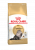 Royal Canin Persian Adult корм сухой сбалансированный для взрослых персидских кошек от 12 месяцев Royal Canin Persian Adult корм сухой сбалансированный для взрослых персидских кошек от 12 месяцев