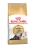 Royal Canin Persian Adult корм сухой сбалансированный для взрослых персидских кошек от 12 месяцев