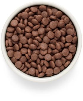 Корм Grandorf Fresh Dog Lamb Med&Maxi свежее мясо ягненка с бататом для взрослых собак средних и крупных пород