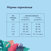 Сухой Корм Florida для собак малых пород с курицей и яблоком Сухой Корм Florida для собак малых пород с курицей и яблоком
