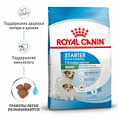 Корм Royal Canin Mini Starter для щенков до 2 месяцев и кормящих собак малых пород