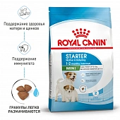 Royal Canin Mini Starter корм для щенков мелких размеров до 2-х месяцев, беременных и...