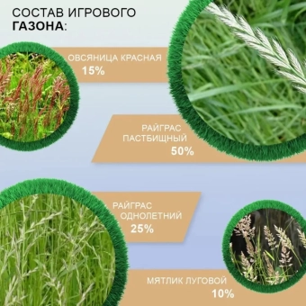 Универсальный классический газон Мираторг