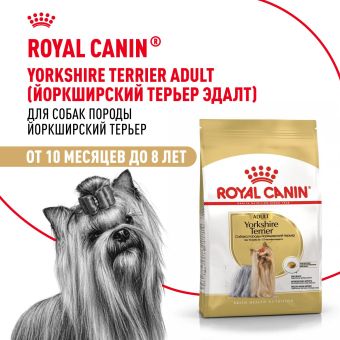 Корм для котят Royal Canin Kitten Корм сухой сбалансированный период второй фазы роста