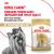 Корм для котят Royal Canin Kitten Корм сухой сбалансированный период второй фазы роста