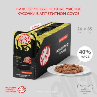 Паучи Enso Basic полнорационный корм для взрослых кошек кусочки в соусе с курицей