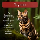 Банки BioMenu adult cat для кошек мясной паштет с языком 95% мясо Банки BioMenu adult cat для кошек мясной паштет с языком 95% мясо