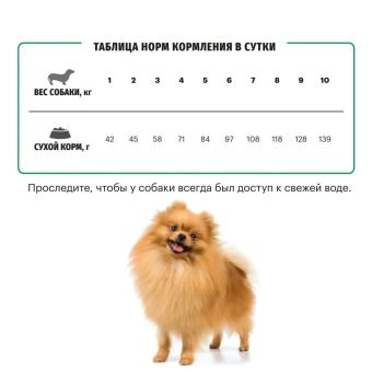 Корм Karmy Mini Adult для взрослых собак мелких пород старше 1 года с телятиной