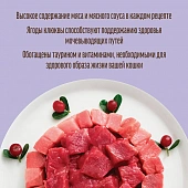 Паучи Деревенские Лакомства "Домашние обеды" для кошек с кроликом и телятиной в нежном соусе Паучи Деревенские Лакомства "Домашние обеды" для кошек с кроликом и телятиной в нежном соусе