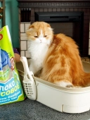 Комкующийся наполнитель Japan Premium Pet с кокосовым молоком и экстрактом бамбука и...