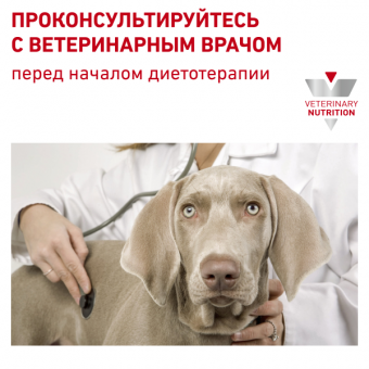 Royal Canin Hypoallergenic Small Dog Canine корм сухой диетический для взрослых собак при пищевой аллергии