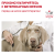 Royal Canin Hypoallergenic Small Dog Canine корм сухой диетический для взрослых собак при пищевой аллергии Royal Canin Hypoallergenic Small Dog Canine корм сухой диетический для взрослых собак при пищевой аллергии