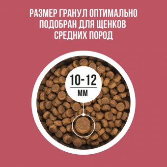 Корм Bowl Wow для щенков средних пород с индейкой, ягнёнком, рисом и клюквой