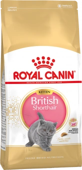 Royal Canin British Shorthair Kitten корм сухой сбалансированный для британских короткошерстных котят