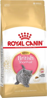 Royal Canin British Shorthair Kitten корм сухой сбалансированный для британских короткошерстных котят