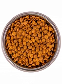 Сухой Корм Monge Cat Urinary для профилактики мочекаменной болезни у кошек с курицей и рисом Сухой Корм Monge Cat Urinary для профилактики мочекаменной болезни у кошек с курицей и рисом