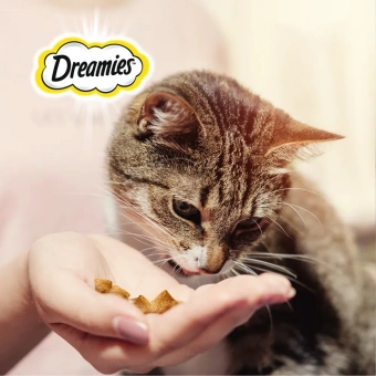 Лакомство Dreamies для кошек с курицей