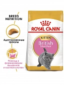 Royal Canin British Shorthair Kitten корм сухой сбалансированный для британских короткошерстных котят