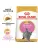 Royal Canin British Shorthair Kitten корм сухой сбалансированный для британских короткошерстных котят Royal Canin British Shorthair Kitten корм сухой сбалансированный для британских короткошерстных котят