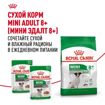 Паучи Royal Canin Mini Ageing 12+ для собак маленьких пород собак в возрасте сраше 12 лет