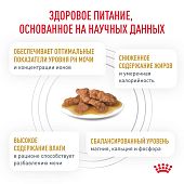 Паучи Royal Canin Urinary S/O Moderate Calorie для кошек, склонну к набору веса при мочекаменной болезни