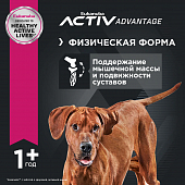 Eukanuba Adult Large Breed 1+ years корм сухой для взрослых собак крупных и очень крупных пород от года и старше