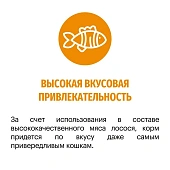 Сухой Корм Karmy Hair & Skin для кошек, поддерживающий здоровье кожи и шерсти с лососем Сухой Корм Karmy Hair & Skin для кошек, поддерживающий здоровье кожи и шерсти с лососем