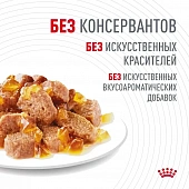 Royal Canin Hair & Skin Care корм консервированный для взрослых кошек в желе