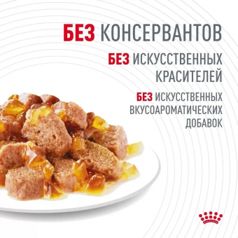 Royal Canin Hair & Skin Care корм консервированный для взрослых кошек в желе