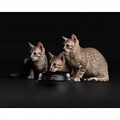 Сухой корм Pro Plan для котят с чувствительным пищеварением или с особыми предпочтениями в еде, с индейкой ПРОМОПАК