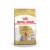 Корм для котят Royal Canin Kitten Корм сухой сбалансированный период второй фазы роста