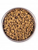 Сухой Корм Monge Cat Indoor для домашних кошек с курицей Сухой Корм Monge Cat Indoor для домашних кошек с курицей